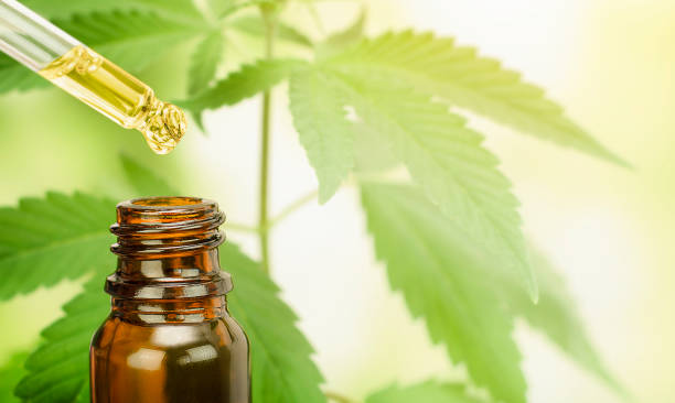 CBD Oil for Medical Purposes